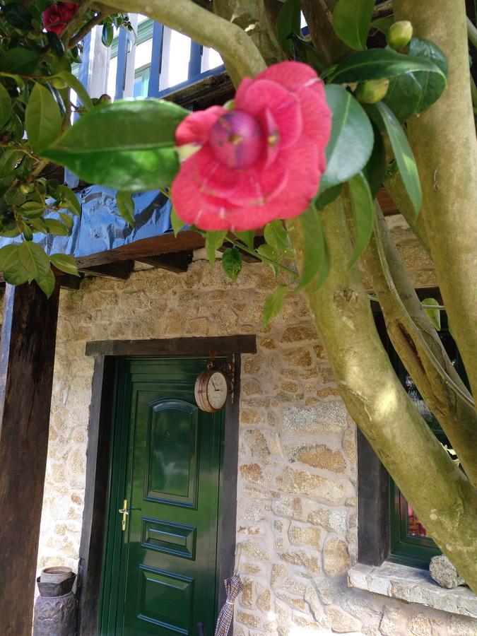 Mar Y Montana Guest House Ferrol Ngoại thất bức ảnh